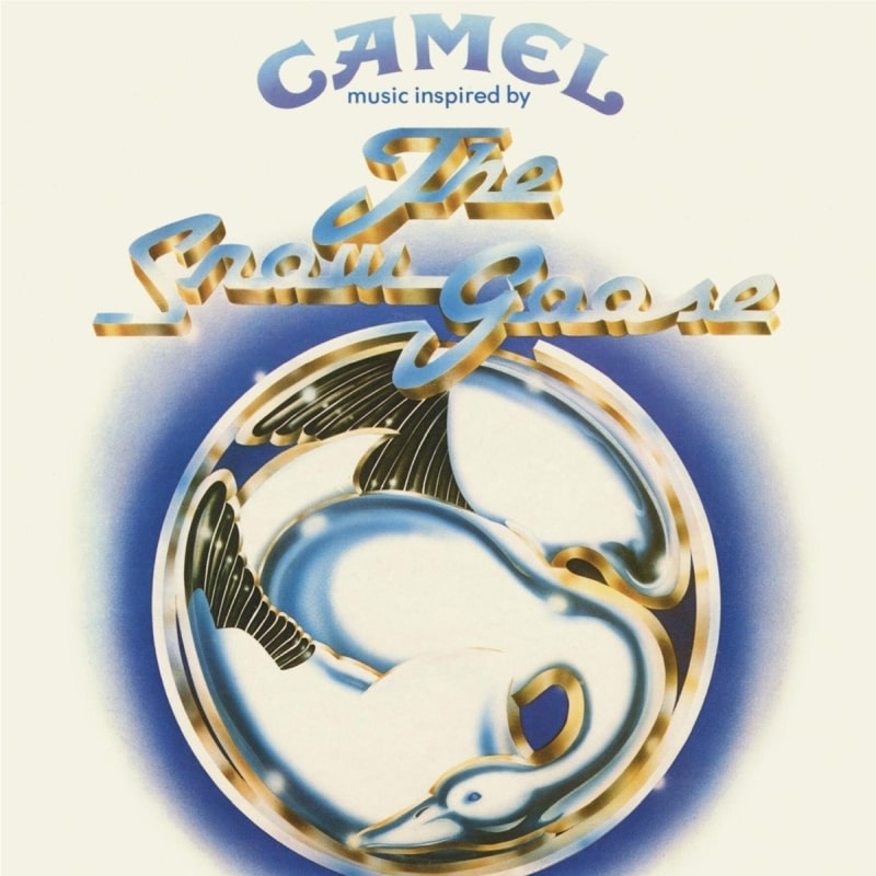 Camel-min