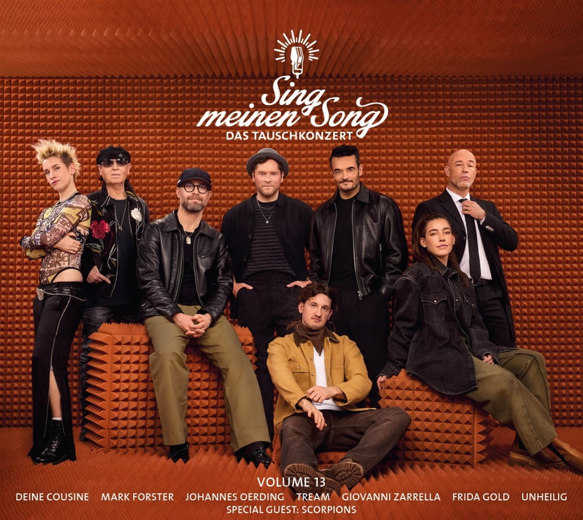 Sing meinen Song_Vol.13